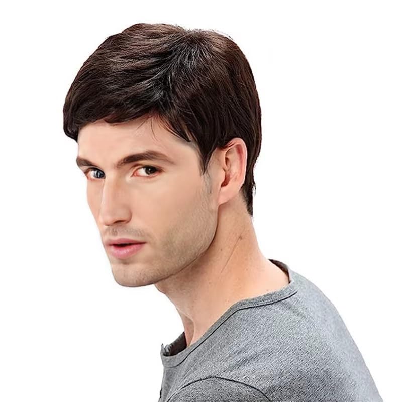 FCHW-wig FCHW Mens Short Brown Wigs Short Hair Wig Mens Wigs Short Straight Hair Wig Synthetic Hair Full Wig for Male - Image 3